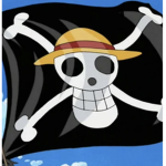 The straw hats2.0