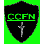 Cowardingrobots Champion Fighters Nation