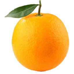 ######## OMEGA orange icon
