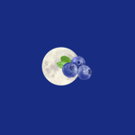 BlissfulMoonBerries