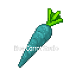 Blue Carrot Studio