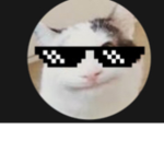 CATSARETHEBEST!!!!!!
