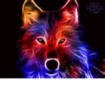 Black Dark Wolves