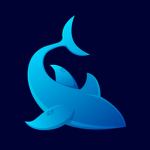 Shark's Hangout!