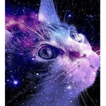 Galaxy animal squad army