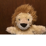 ROAR FAN CLUB