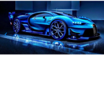 Shark car