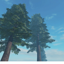 Lost in the Woods Simulator