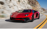Lamborghini and Ferrari Fans