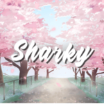 Sharky Market