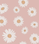 I <3 daisy’s