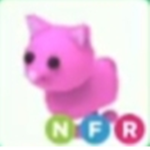 Pink cat studio