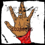 彡Tupac