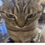 ̣̣̣ ̣̣̣̣̣̣
