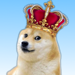 King Doge Studio