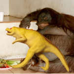 Monkesaur Incorporation