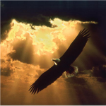 The Tribe of Soaring Eagles