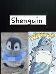 Shenguin Bank