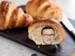 Wiewiórki Wectra!