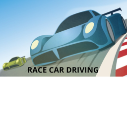 RACE CART DRIVING