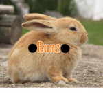 •Bunz•