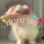 -. kelseyz cats .-