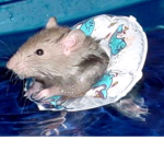 Hewo friends its me katelyn <3