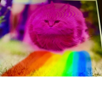 Kittens are the best group