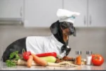 weiner dog Store