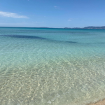 Beach is VERY COOL