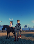 L n L saddle pads