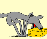 Wolf cheese hi