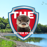 The Clan Of Otters