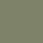 matcha!!