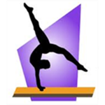 reach to the stars gymnastics