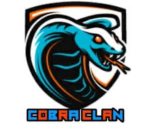 COBRA OFFICIAL TOUCH FOOTBALL CLAN