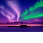 | ~The Northern Wings {Wings of Fire Fan Tribe}~ |