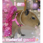 GOD BLESS YOU AND THE CAPYBARAS WITH THE PINK DRIN