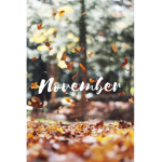 THE NOVEMBER GROUP