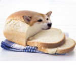 RobuxTopia