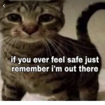 MEME PACK