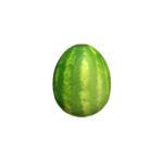 Watermelon Egg