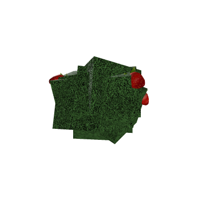 strawberry bush