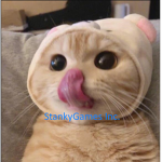 StankyGames inc.