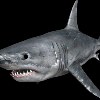 Sharks (has obby)