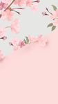 Flowers like anyone!