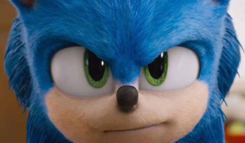 Sonic The hedgehog: Emerald-Hunting