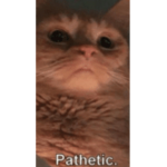 Pathetic mortals