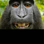 Big dino yummy frog frog frog