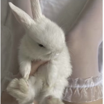 Cowbun